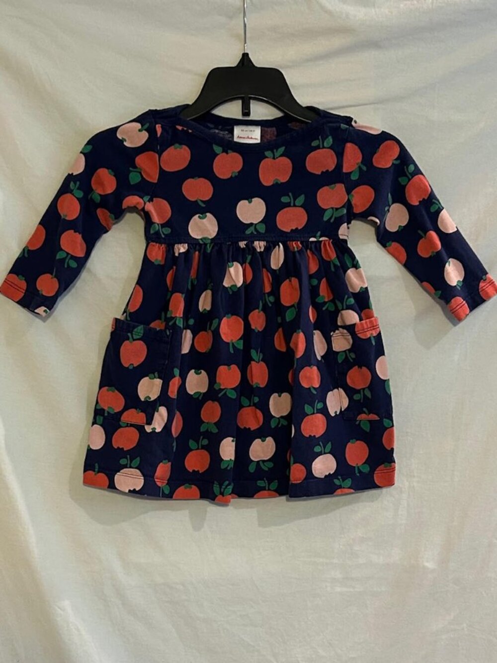 Hanna Andersson Girls 2T 85 cm Blue Red Pink Apples Skater Dress Fall School